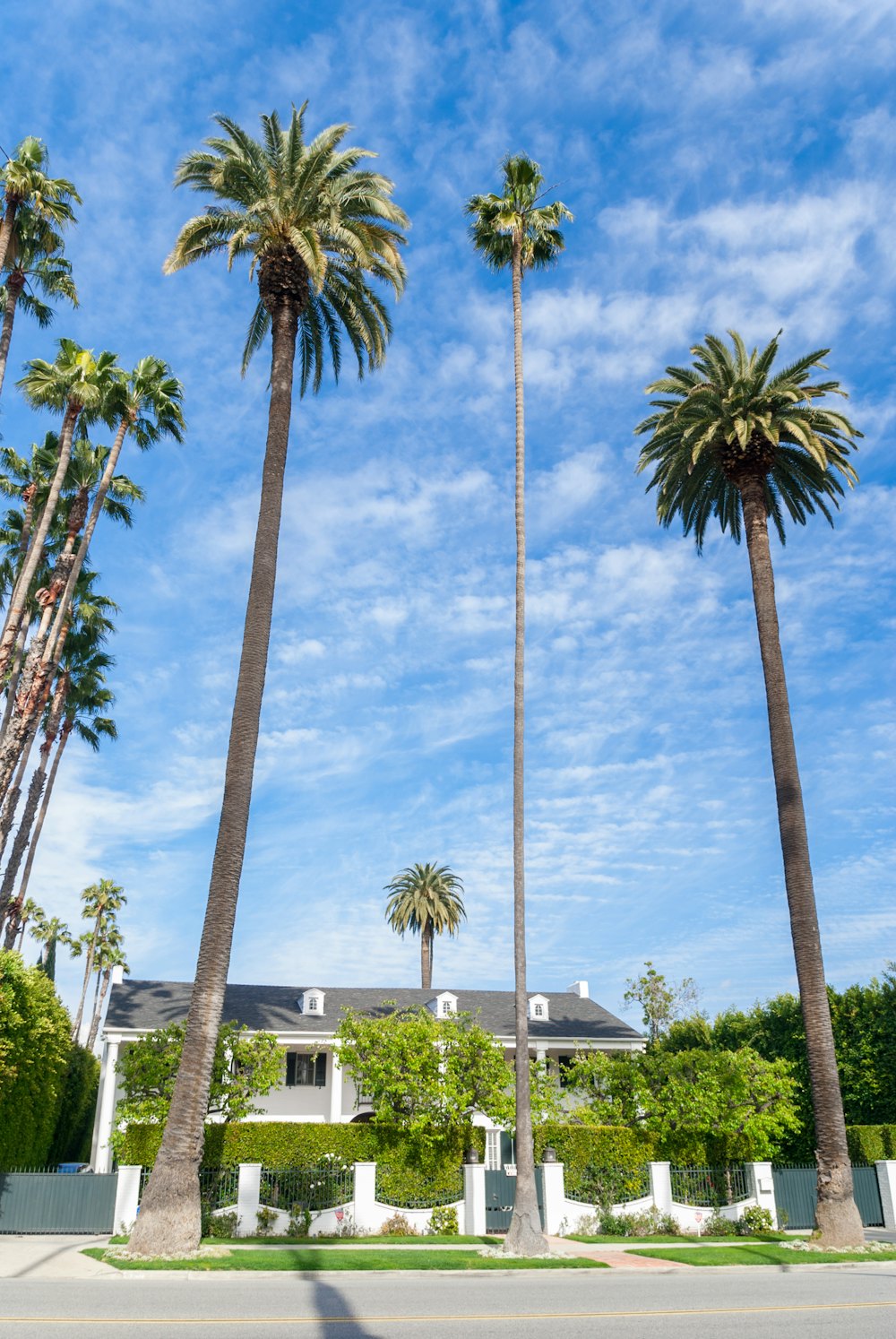 Palmeras altas frente a una casa blanca en Beverly Hills, California